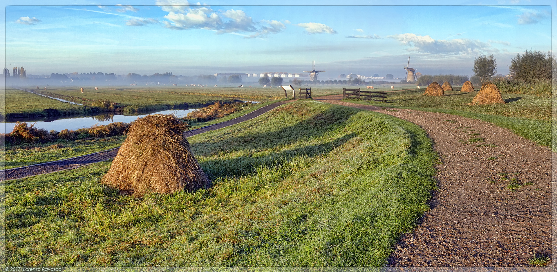 Kinderdijk 05